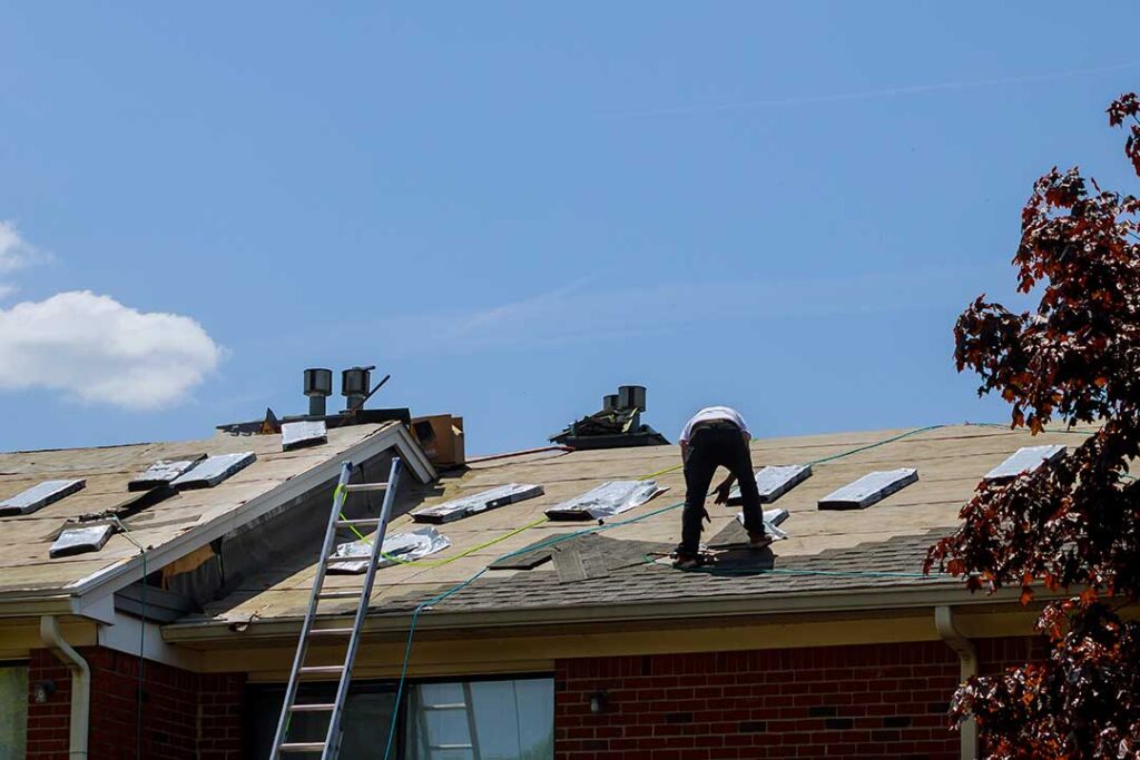 A close-up view of a residential roof with moss and dark streaks visible among asphalt shingles.