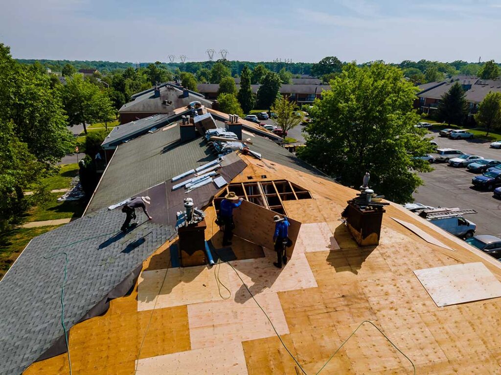 Person using a soft roof rake from the ground to remove leaves and small branches from a shingled roof.